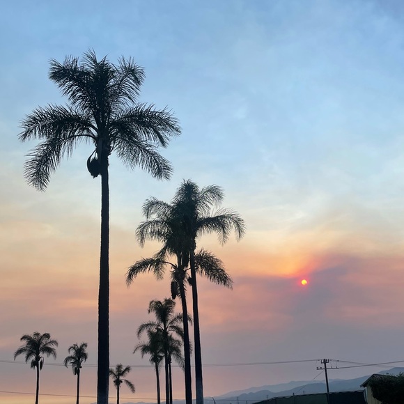 Meet your Posher, Gen - Picture 2 of 2